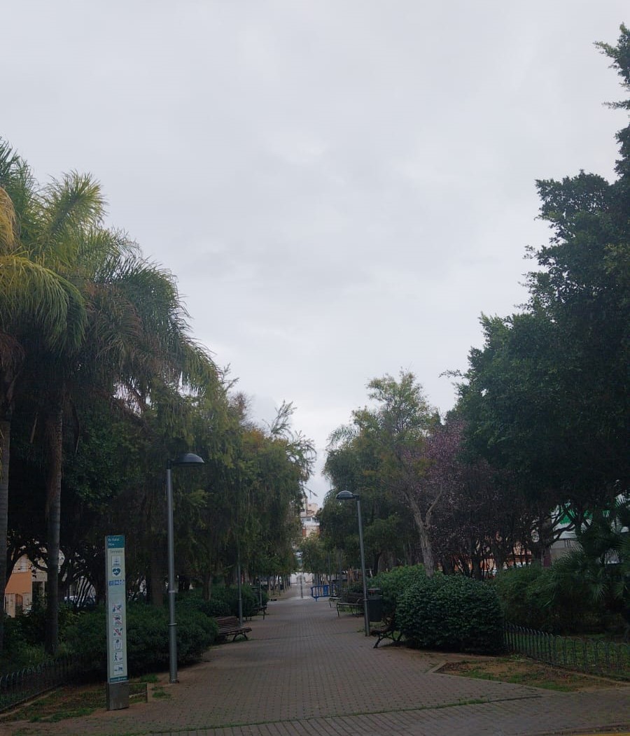 Proyecto de mejora del alumbrado público en el entorno del parque Rosa Bueno del Rafal Nou