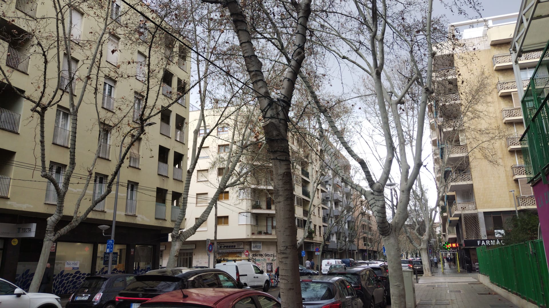 Proyecto de mejora del alumbrado público en la zona del colegio Luis Vives