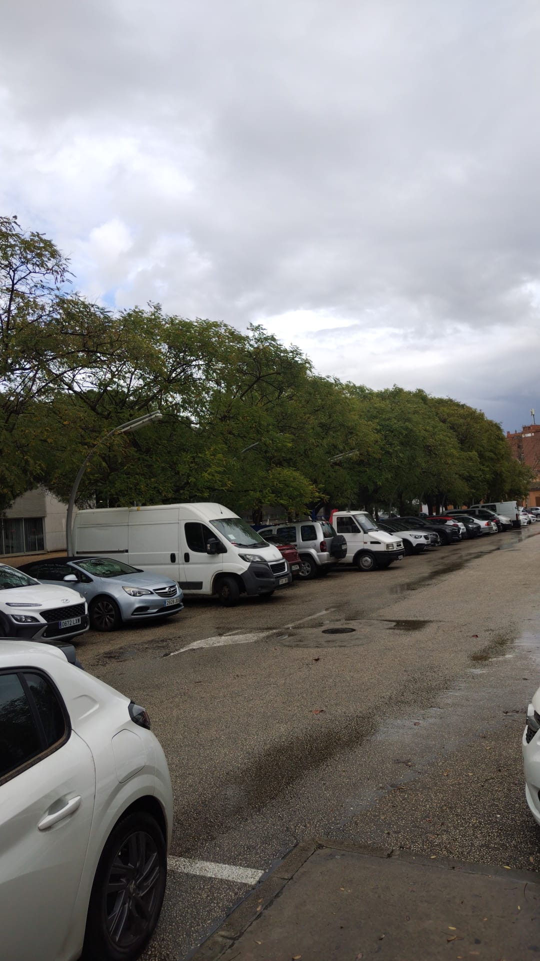 Proyecto de mejora del alumbrado público en el entorno del parque de Ses Fonts y la calle San Vicente de Paul de Palma